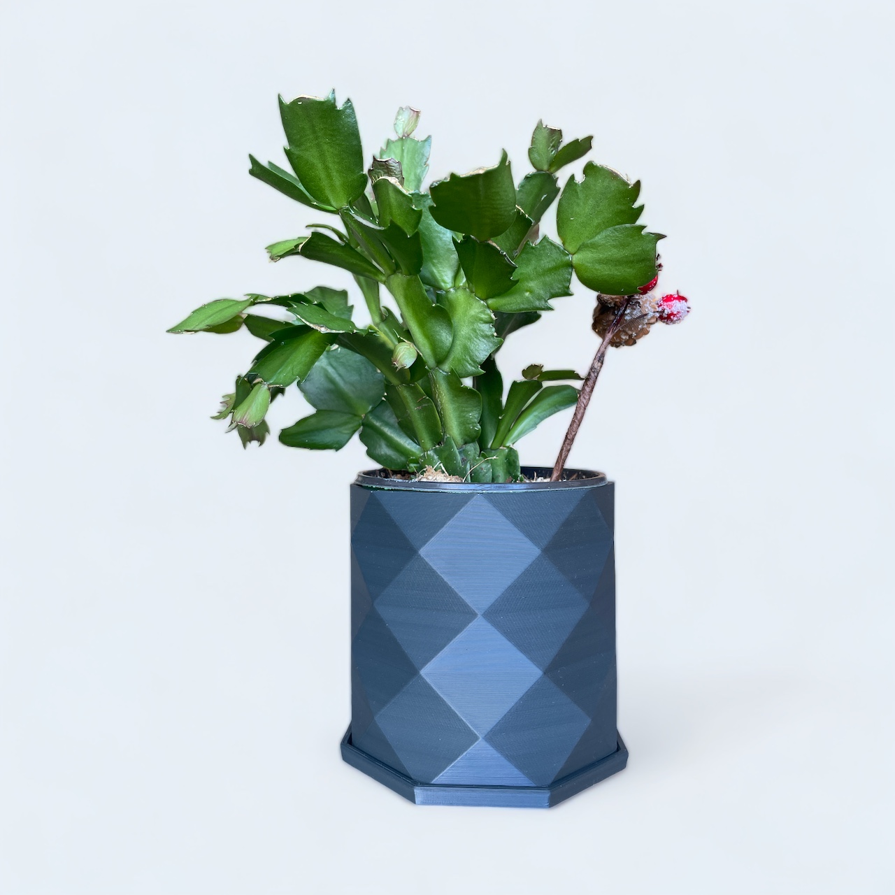 Self Watering Planter - Houston Self Watering Planter - Houston