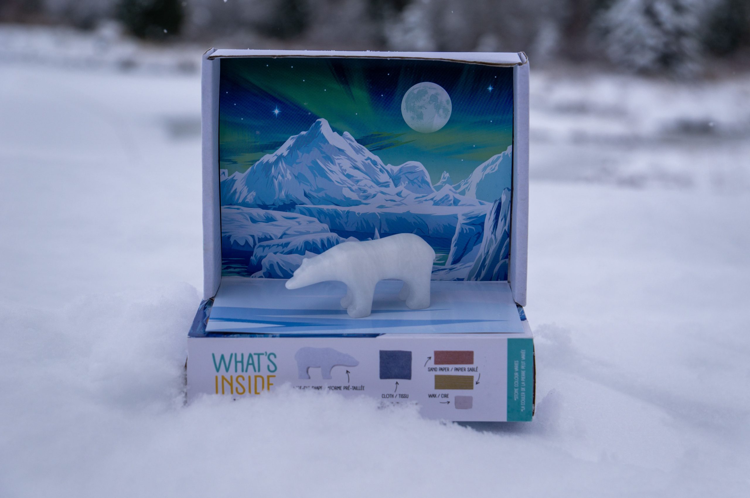 Polar5