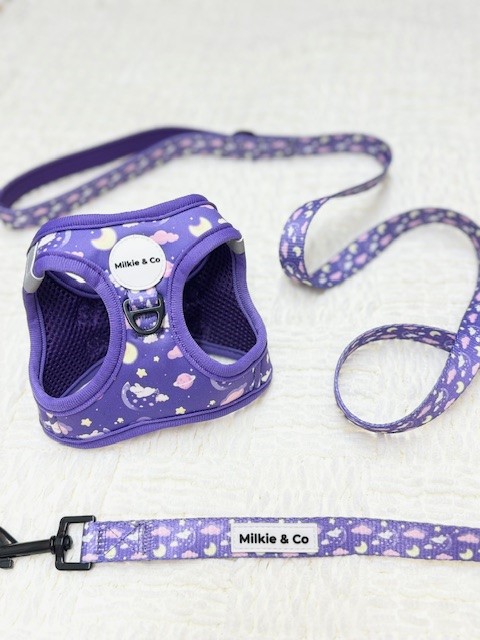 Step-In Harness - Starry night