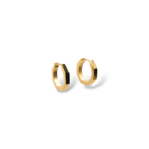 Alessia Hoop Earrings