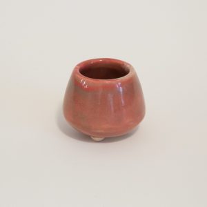Pocket Garden Mini Planter - Texas Rose