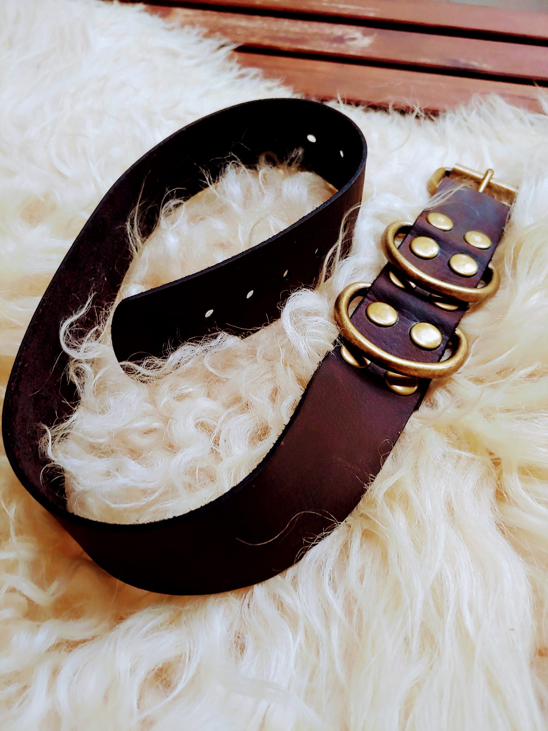 Leather Dog Collar Leather Dog Collar