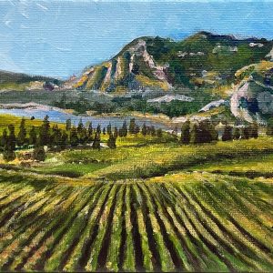 The Okanagan Vineyard
