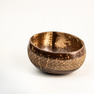 Jumbo Coconut Bowl | Multi-Use | Type 1