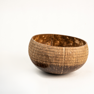 Jumbo Coconut Bowl | Multi-Use | Type 2