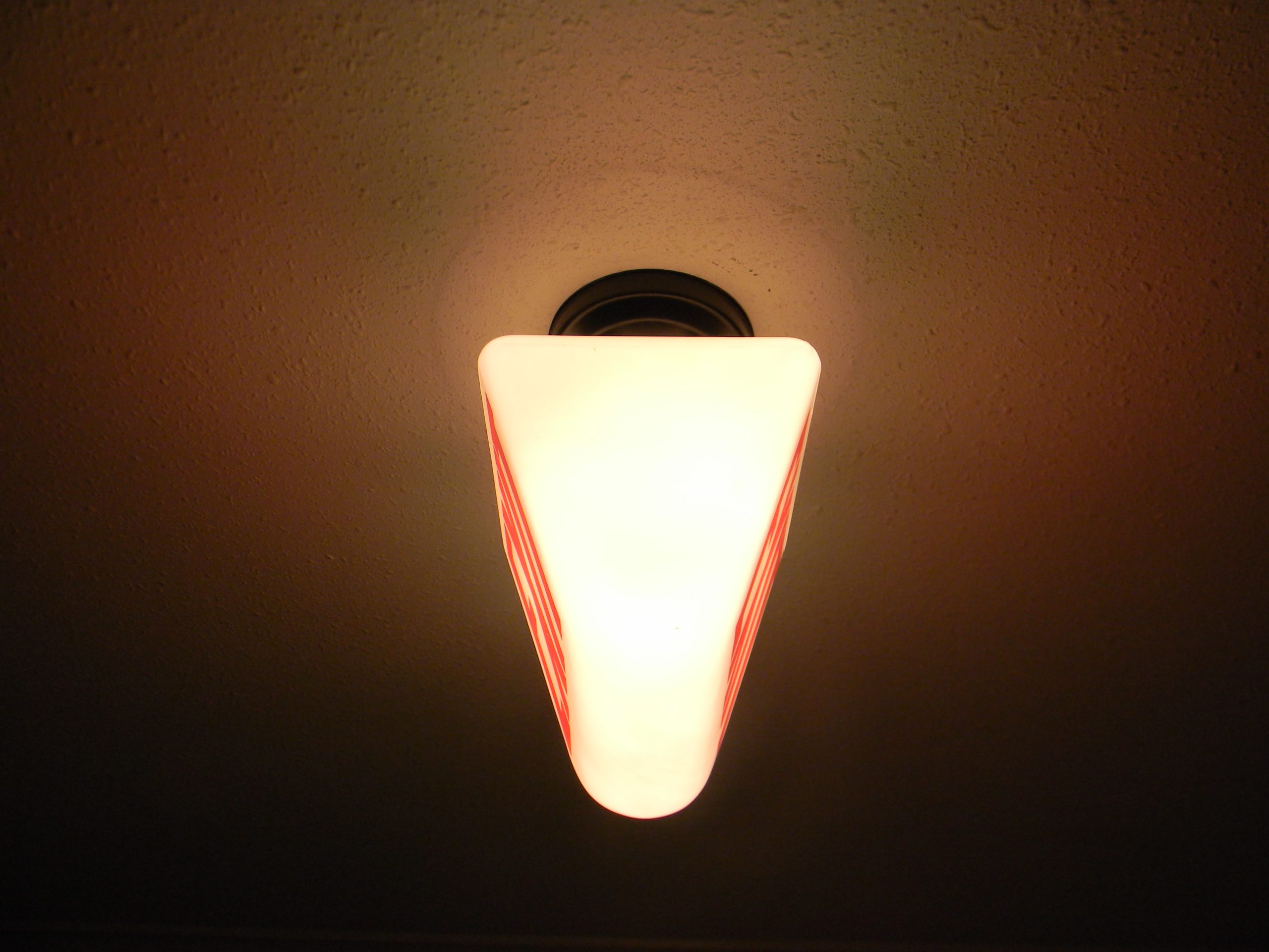 DSCN3049